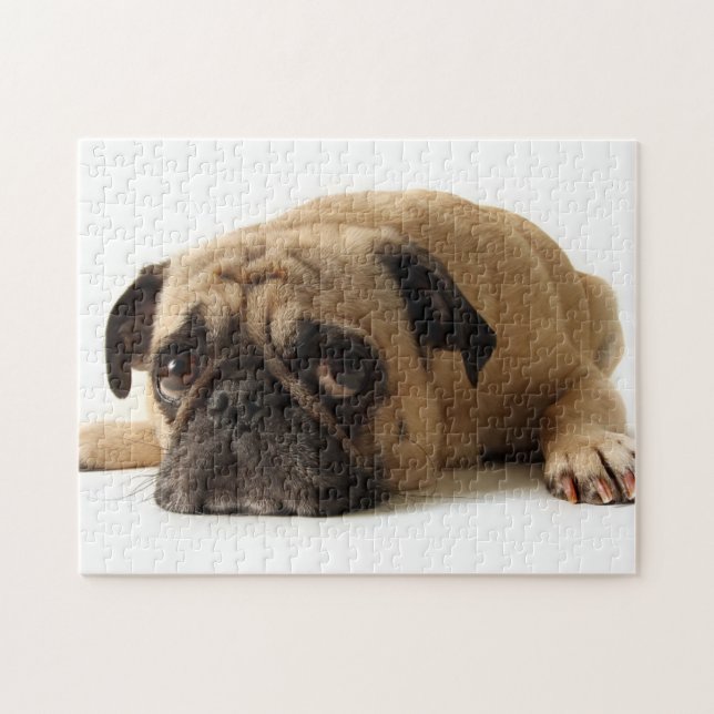 Puzzle Pug triste (Horizontal)