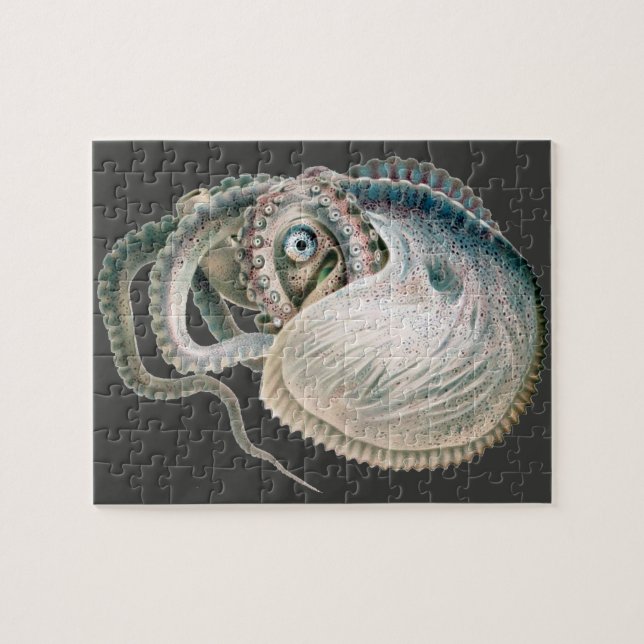 Puzzle Pulpito Argonauta Vintage, Animales de Vida Marina (Horizontal)