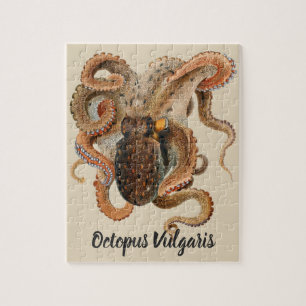 Puzzle Pulpo Vulgaris, Animales de la Vida Marina Antiguo