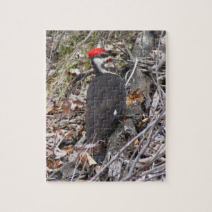 Puzzle Pulsación de corriente de Pileated que picotea
