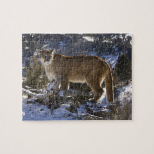 Puzzle Puma