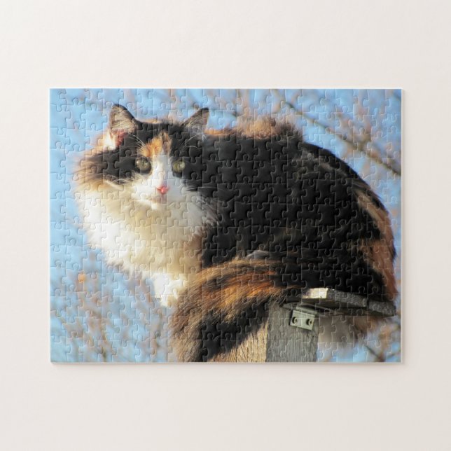 Puzzle Puma en "Better View" por djoneill (Horizontal)