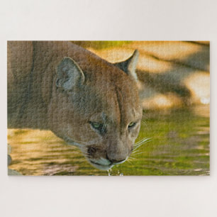 Puzzle Puma León de Montaña.