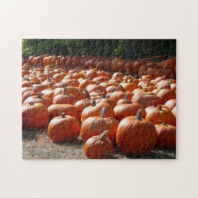 Puzzle Pumpkin Patch Autumn Harvest Photography (Horizontal)