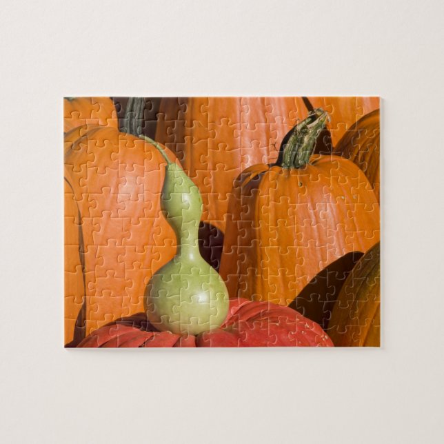 Puzzle Pumpkins and Gourd (Horizontal)