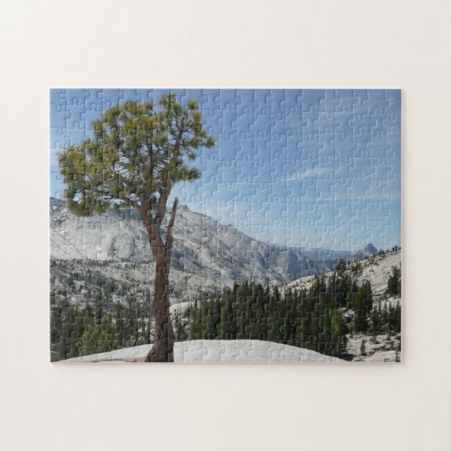 Puzzle Punto I abandonado en el Parque Nacional Yosemite (Horizontal)