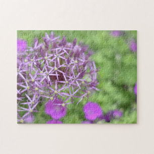 Puzzle Purple Allium Flower Blossoms Nature Photography