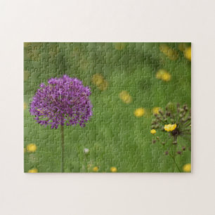 Puzzle Purple Allium Flower Nature Photography Garden