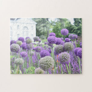 Puzzle Purple Allium Garden Kew Gardens London UK