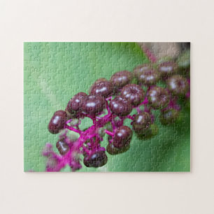Puzzle Purple Berries