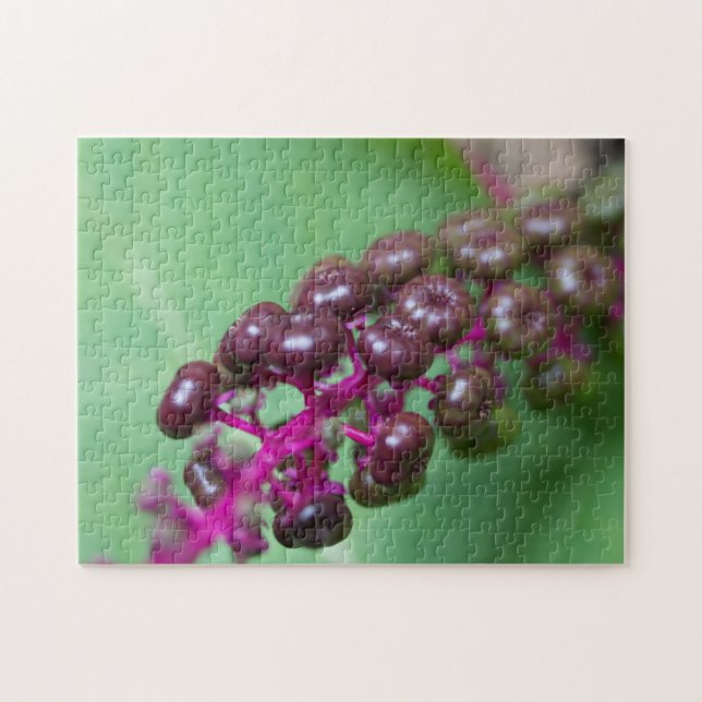 Puzzle Purple Berries (Horizontal)