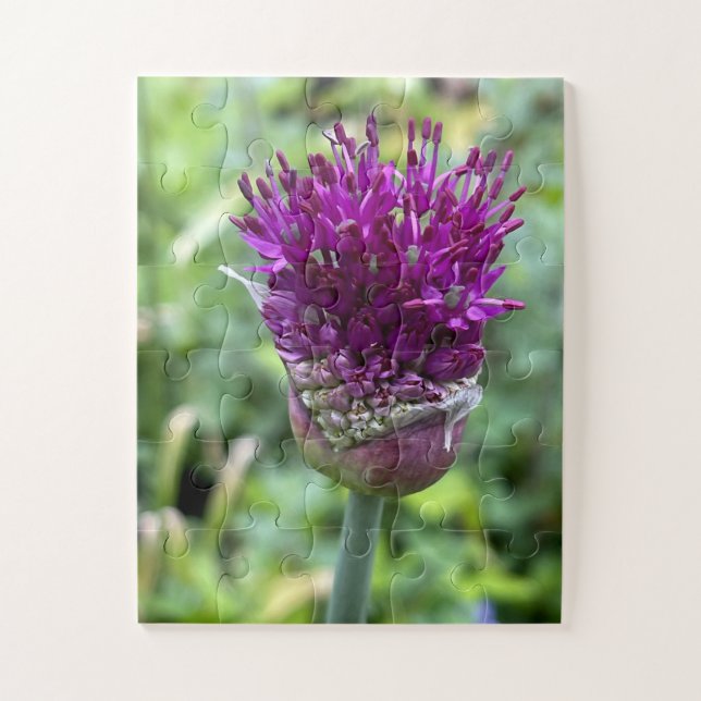 Puzzle Purple Bloom of Memory | Allium Flower Botanical  (Vertical)