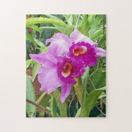 Puzzle Purple Cattleya Orchids