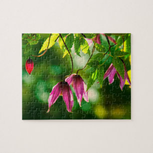 Puzzle Purple green lush plants flowers greenery