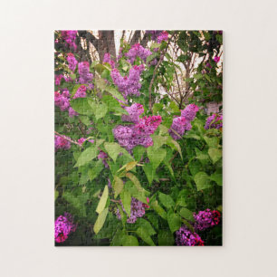 Puzzle Purple Lilac Bush