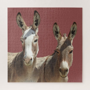 Puzzle Puzzle, fauna, burros, Oatman, Arizona