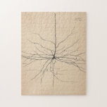Puzzle Pyramida Neuron Drawing By Santiago Ramón Y Cajal<br><div class="desc">Pyramida Neuron Drawing From Santiago Ramón Y Cajal 1904</div>
