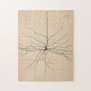 Puzzle Pyramida Neuron Drawing By Santiago Ramón Y Cajal