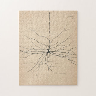 Puzzle Pyramida Neuron Drawing By Santiago Ramón Y Cajal