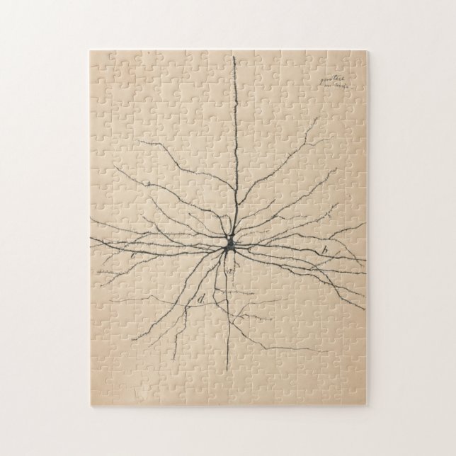 Puzzle Pyramida Neuron Drawing By Santiago Ramón Y Cajal (Vertical)