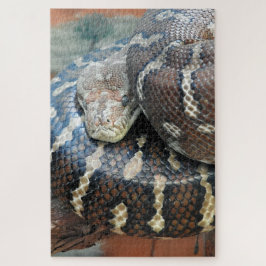 Puzzle Python de alfombra centralista