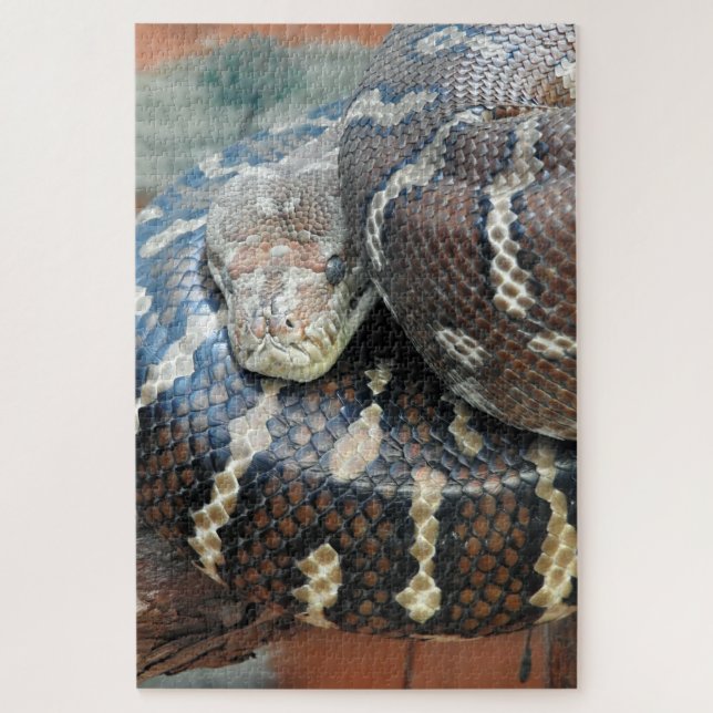 Puzzle Python de alfombra centralista (Vertical)