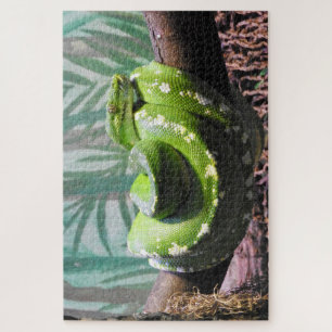 Puzzle Python de árbol verde