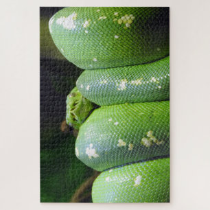 Puzzle Python de árbol verde