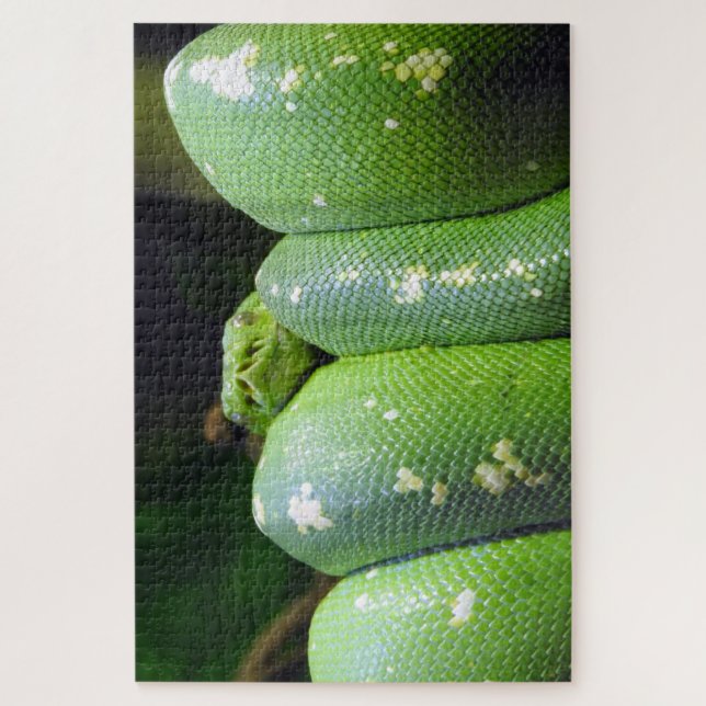 Puzzle Python de árbol verde (Vertical)