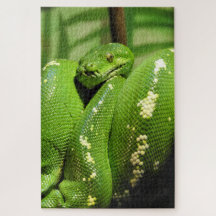 Python de árbol verde