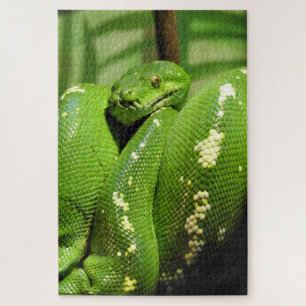 Puzzle Python de árbol verde