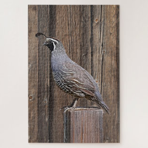 PUZZLE QUAIL ON BARNWOOD