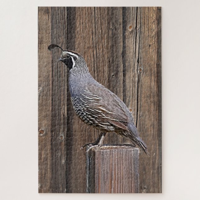 PUZZLE QUAIL ON BARNWOOD (Vertical)