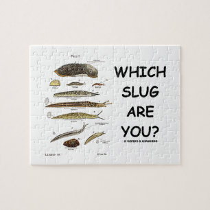 Puzzle ¿Qué barra es usted? (Diversos tipos de barras)