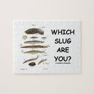 Puzzle ¿Qué barra es usted? (Diversos tipos de barras)