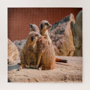 Puzzle ¿Qué Es Ese Meerkats?