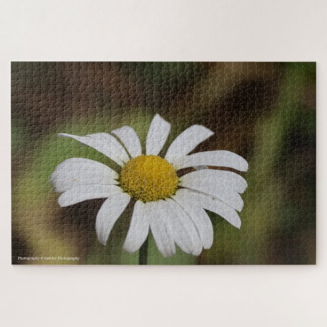 Puzzle Quiet Bloom – Great Smoky Mountains Daisy (Horizontal)