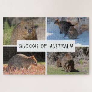 Puzzle Quokka 4 en 1 de Australia Animal, 1014 piezas