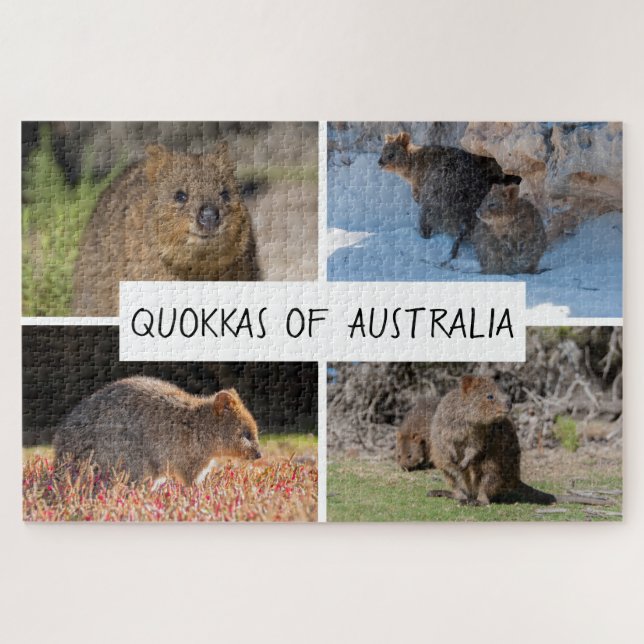 Puzzle Quokka 4 en 1 de Australia Animal, 1014 piezas (Horizontal)