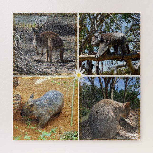 Puzzle Quokka australiana, canguro, Koala, Wombat (Vertical)