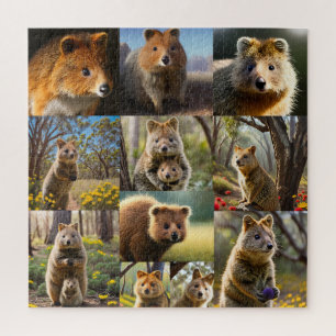 Puzzle "Quokka Chronicles: Un Collage de fotos conmovedor