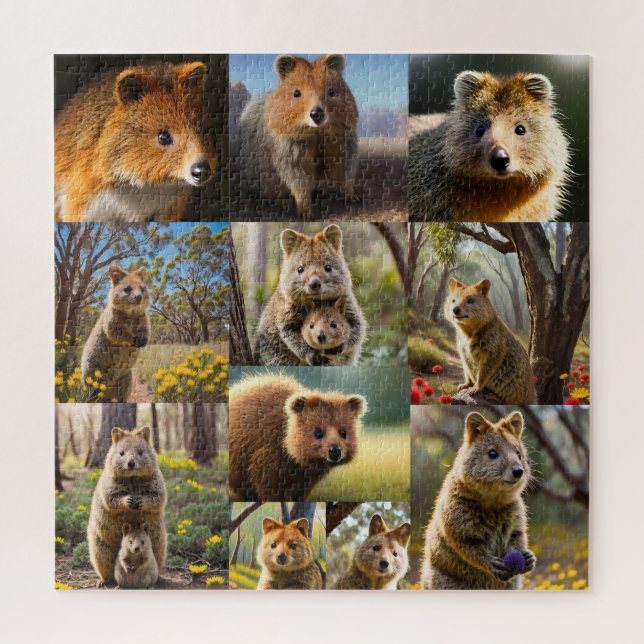 Puzzle "Quokka Chronicles: Un Collage de fotos conmovedor (Vertical)