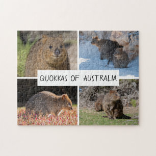 Puzzle Quokka de Australia, 252 piezas
