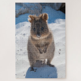 Puzzle Quokka en la playa, 1014 piezas