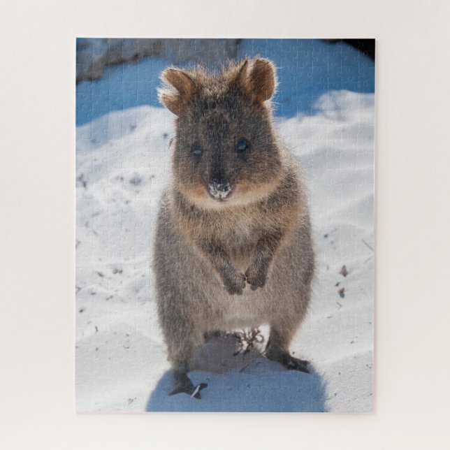 Puzzle Quokka en la playa, 520 piezas (Vertical)
