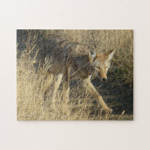 Puzzle R14 Coyote Caminando