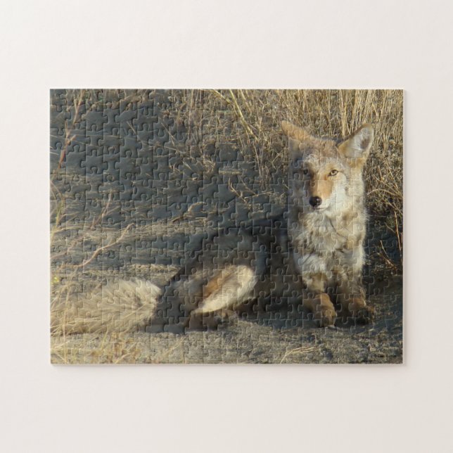 Puzzle R19 Coyote Acostado (Horizontal)