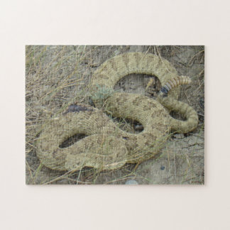 Puzzle R20 Prairie Rattlesnake