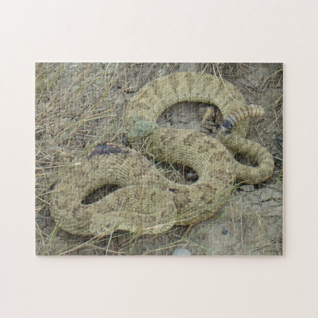 Puzzle R20 Prairie Rattlesnake (Horizontal)