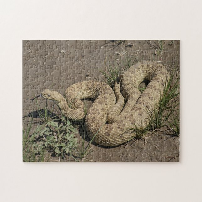 Puzzle R6 Prairie Rattlesnake (Horizontal)